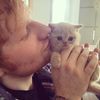 edsheeranzilla