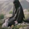 .alarrab3