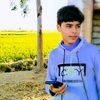 user4663523150163