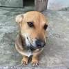 hmexihiu