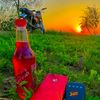 ladlamehar673