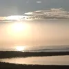 alaa.marzoki