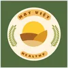 Hạt Việt Healthy