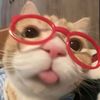 imeowyou_mary