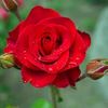zin.zin.htet385