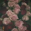 najat_201053