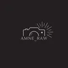 amne_raw