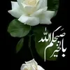 sahand.holanda.sa
