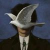 the_bleugrey