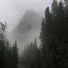 intighet