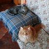 user266992410569.angela