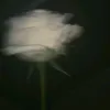 ninaaaa4832