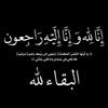 mohamed.shankoty8