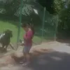 selma_tkl_