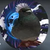 pombo1.1