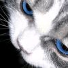 stewart05_