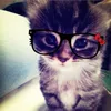 rafarla_we