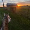 unicornturds19