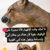 user5102039612724