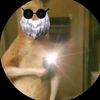 kevin.villalobos471