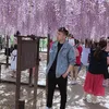 huynhanh37jp