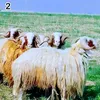 alantahsein