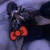 sleepy2056