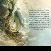user8850349178075
