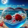 user1263844381660