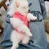 Em Bé LUNA PINK