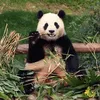 myngoc_105
