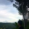 .irfan_csr0