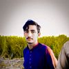majid.78650