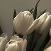 kam11laa44___