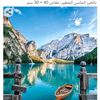 qatar2643
