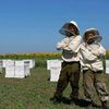 bee.crafter