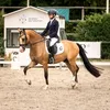 equi_dressage_adelyne