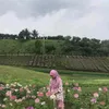 nurhanifa111