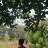 julioranto
