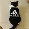 hayyeutaodi
