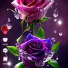 مجروح من ناسي🇮🇶🌹