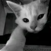 user0304842_