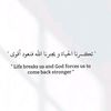 user5222800863259