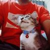dadangrudy07
