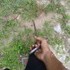 sall.wg44