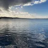 aura.ursahanbal