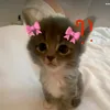 who_are_you.300