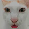 to_ten_nate