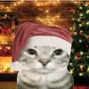 gataindeota_