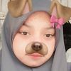 anis1448